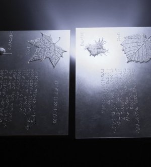 tablice informacyjne dla osób niewidomych zapisane alfabetem Braille'a