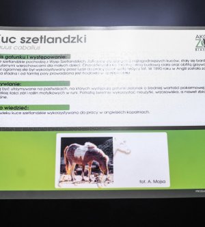 termoformowana tablica informacyjna w zoo z wypukłymi elementami